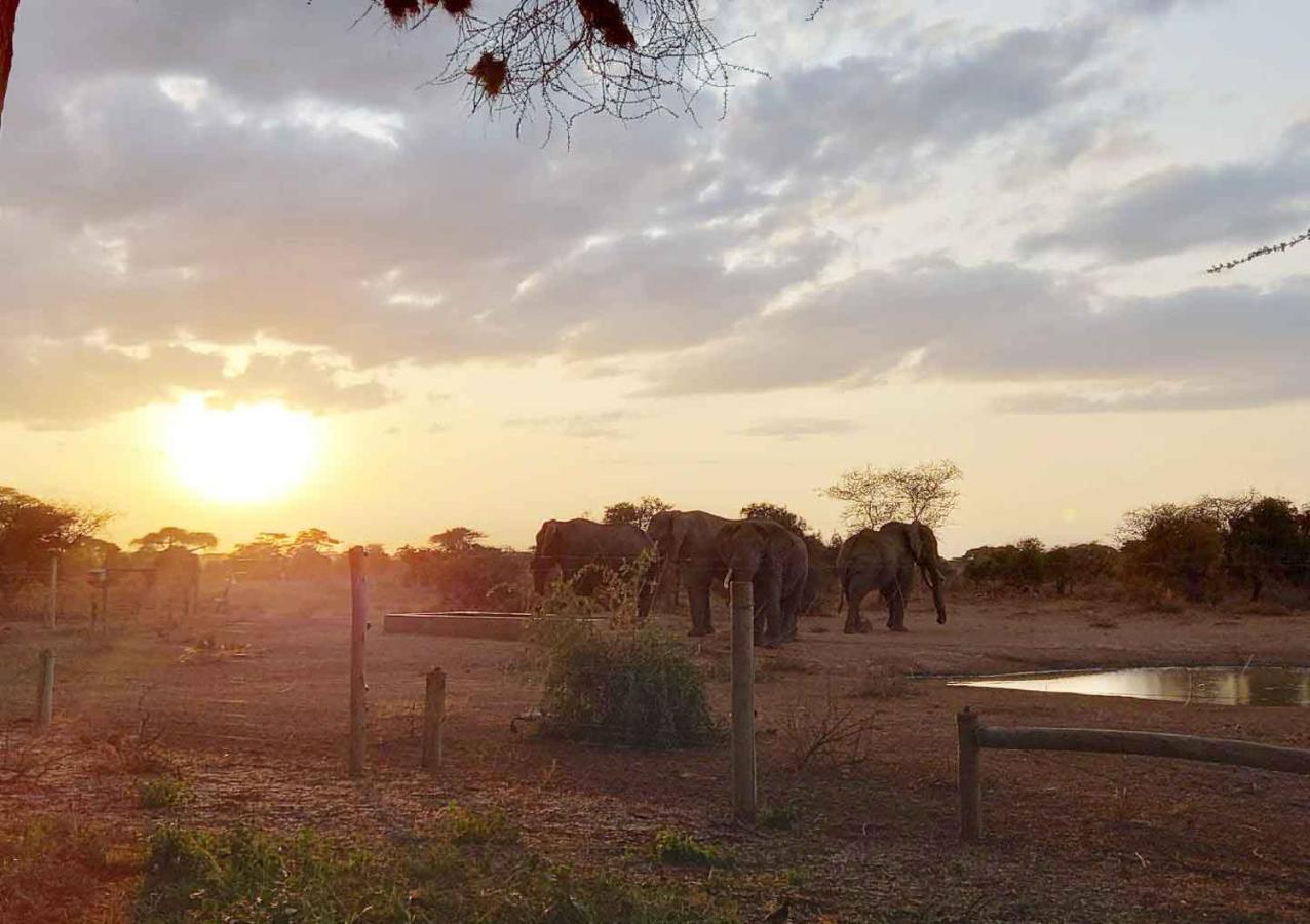 Hotel Oilepo Amboseli Rift Valley Exteriér fotografie