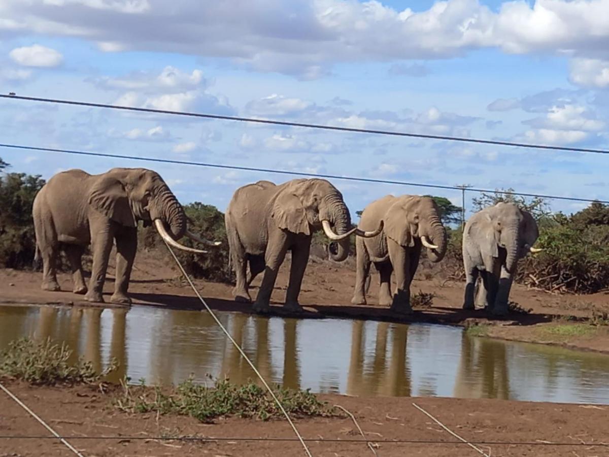 Hotel Oilepo Amboseli Rift Valley Exteriér fotografie