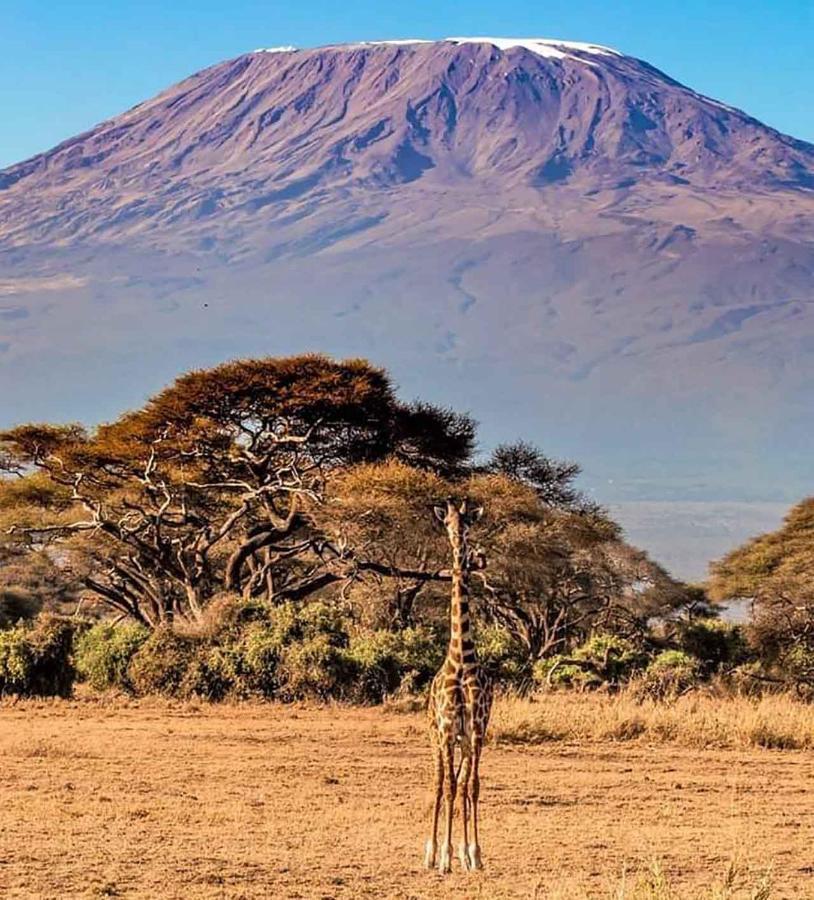 Hotel Oilepo Amboseli Rift Valley Exteriér fotografie